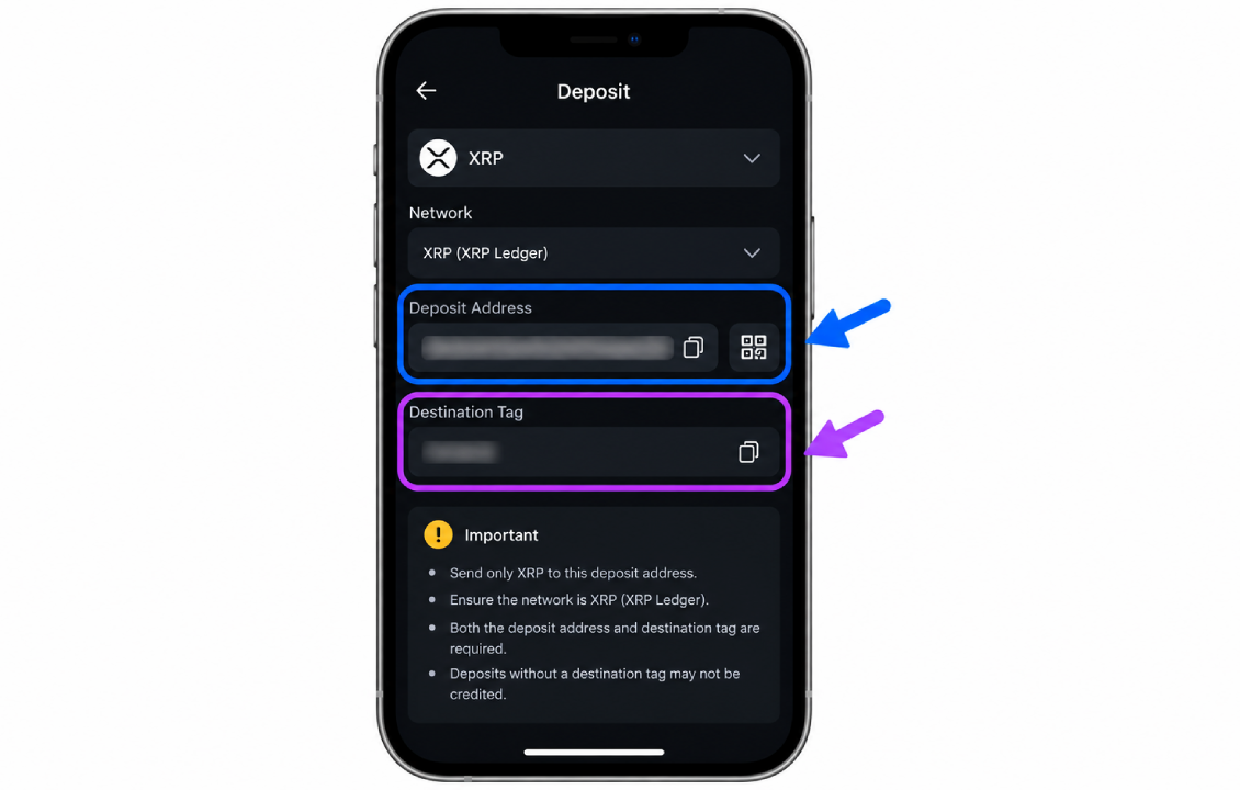 تفاوت آدرس و Memo در SafePal هنگام انتقال ارز به صرافی