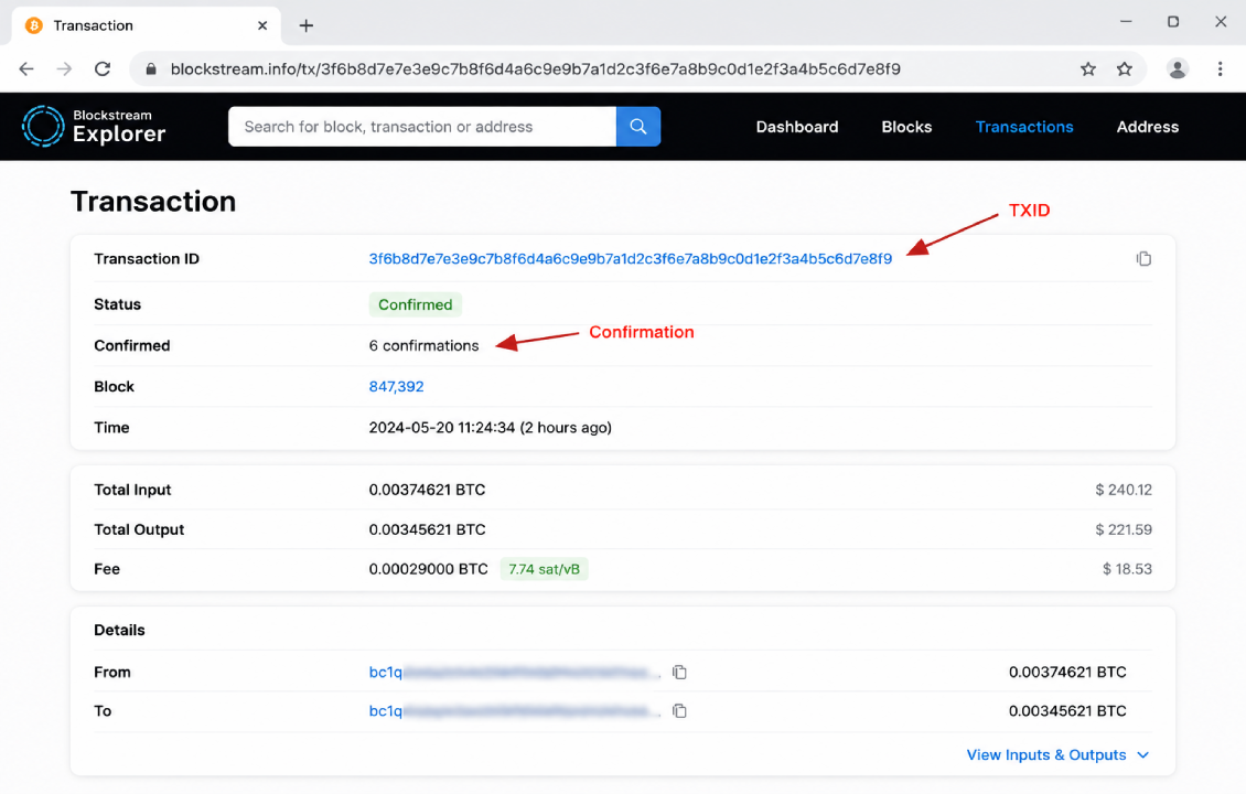 پیگیری تراکنش بیت کوین در سیف پل با TXID و بررسی Confirmation