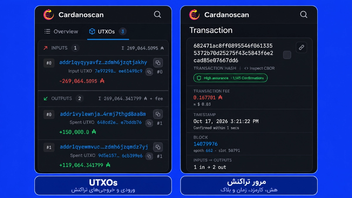 جزئیات یک تراکنش تأییدشده ADA در Cardanoscan شامل TXID، کارمزد و ورودی و خروجی‌های کاردانو