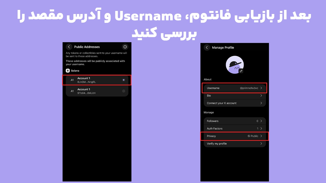 بررسی نام کاربری فانتوم و آدرس متصل پس از بازیابی کیف پول