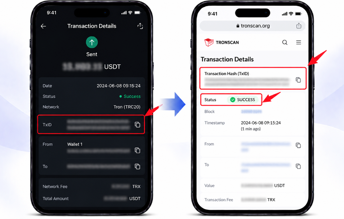 بررسی TXID انتقال ارز از سیف پل به صرافی