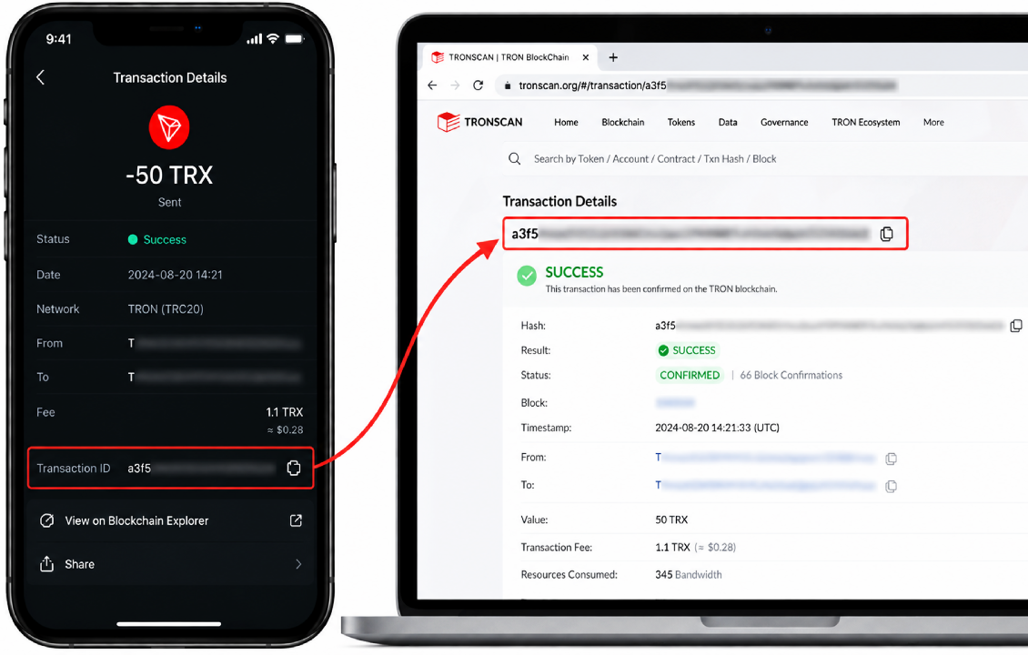 بررسی تراکنش ترون در سیف پل با TXID و TRONSCAN