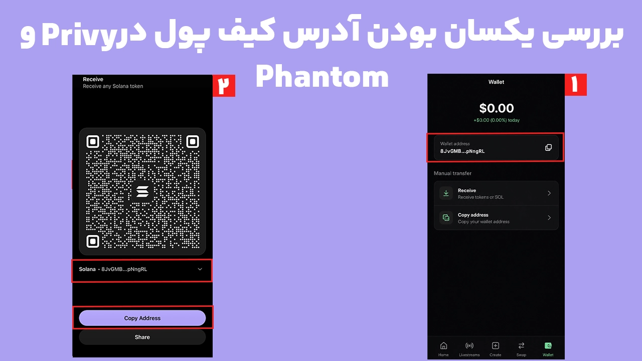 مرحله سوم: بررسی یکسان بودن آدرس کیف پول در Privy و Phantom