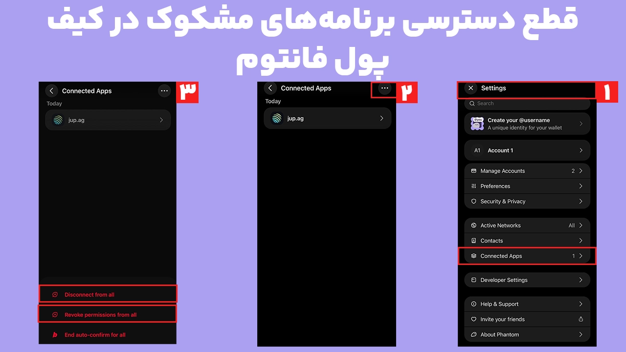 قطع اتصال برنامه‌ها و مجوزهای مشکوک پس از هک کیف پول فانتوم
