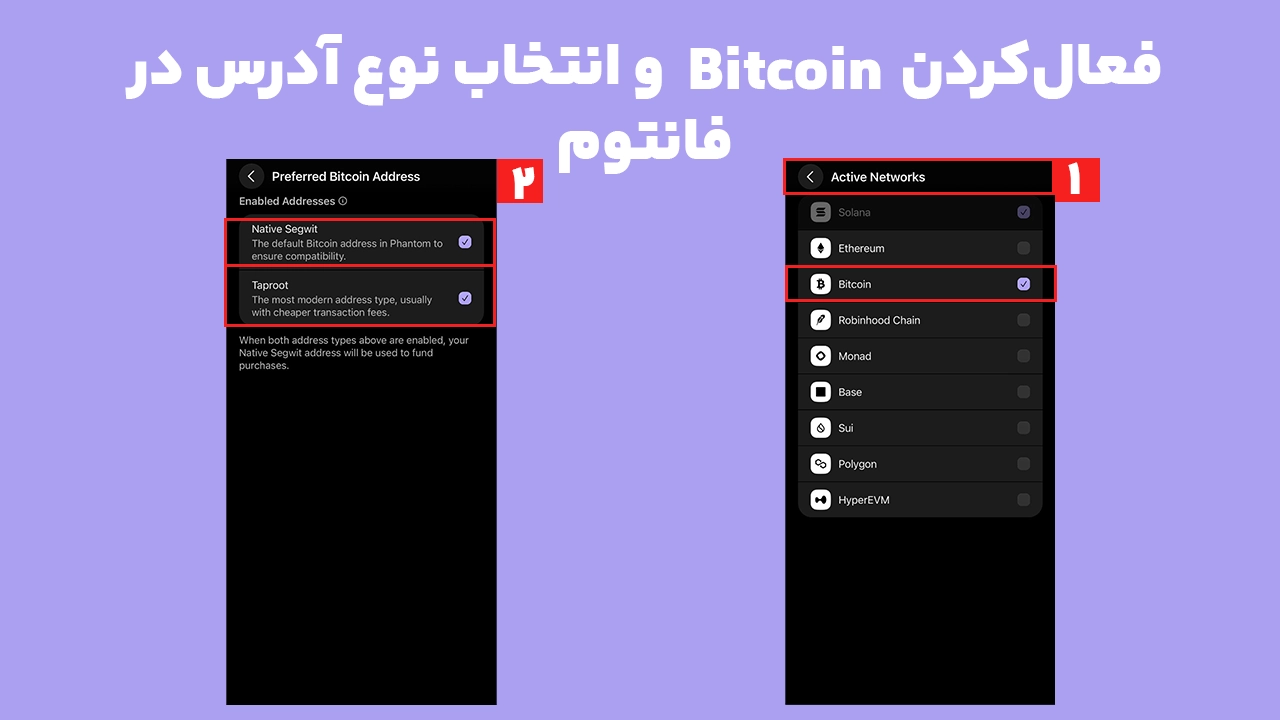 نصب برنامههای Solana و Ethereum روی لجر پیش از اتصال لجر به فانتوم