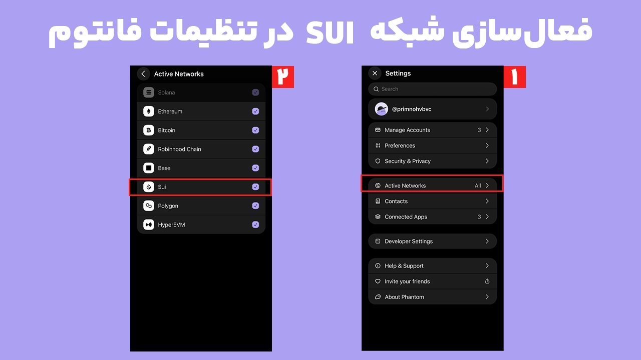 فعال کردن شبکه Sui در فانتوم از بخش Active Networks برای استفاده از ارز SUI
