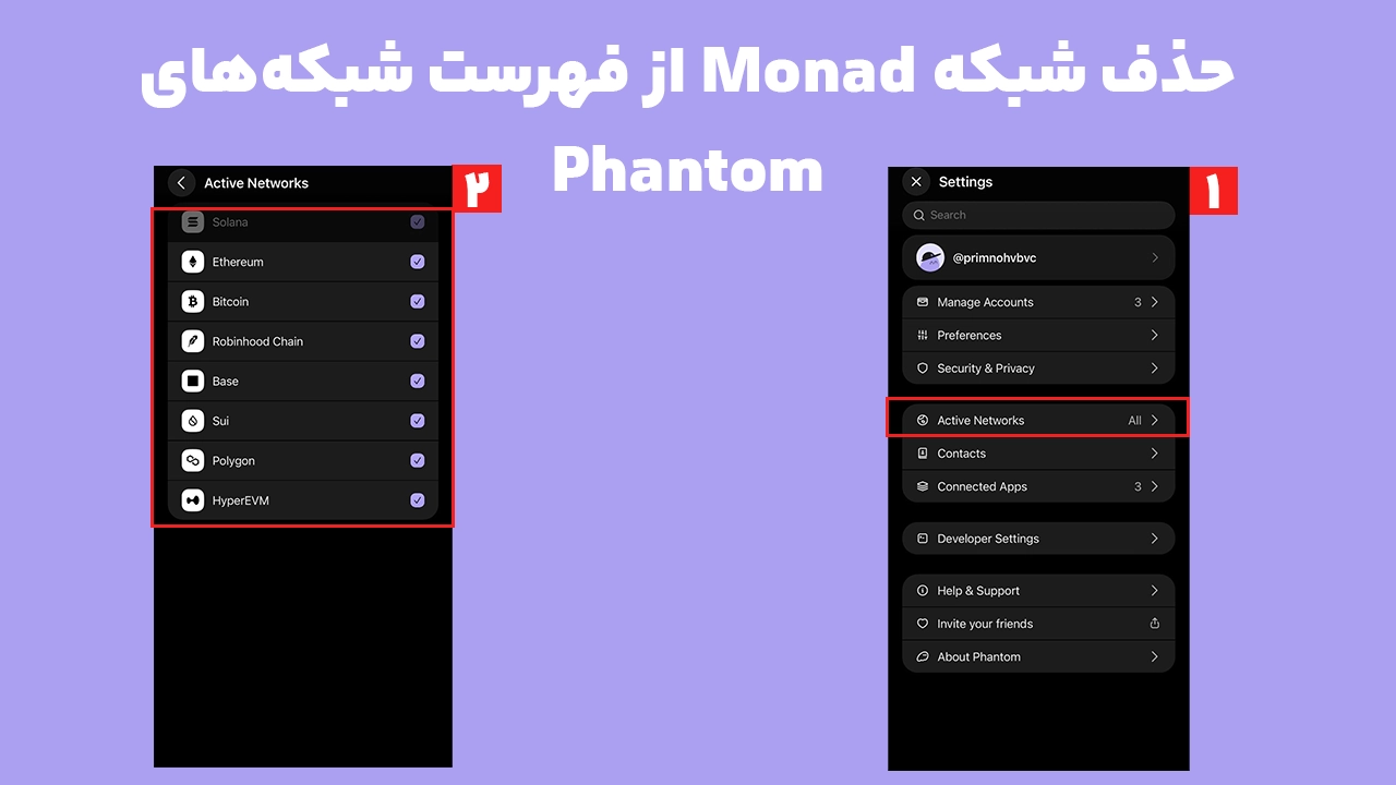 حذف Monad از فهرست شبکههای کیف پول فانتوم و نبود شبکه Monad در Phantom