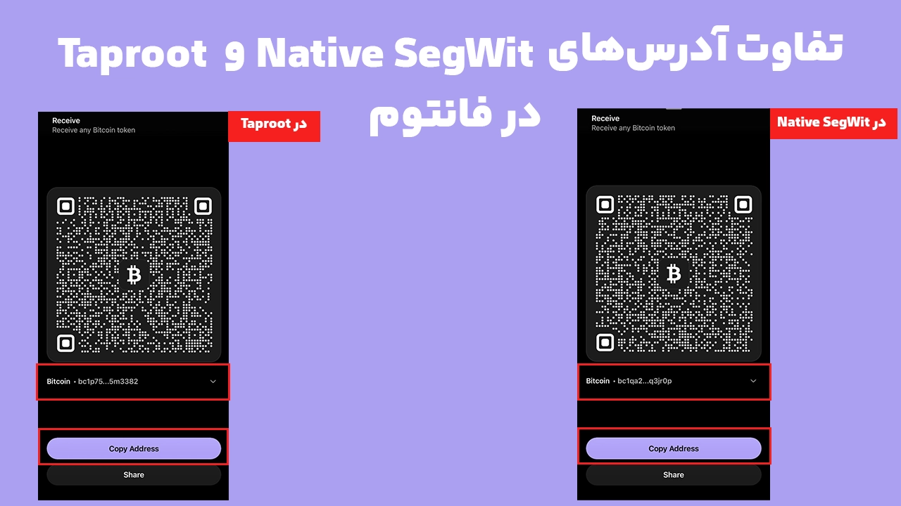 مقایسه آدرس بیت کوین فانتوم با پیشوند bc1q در Native SegWit و bc1p در Taproot