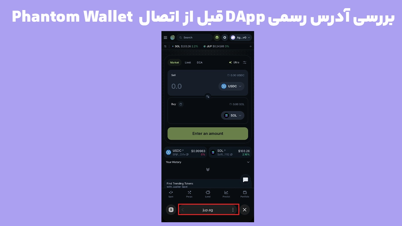 بررسی دامنه رسمی DApp قبل از اتصال کیف پول فانتوم برای جلوگیری از سایتهای مشکوک