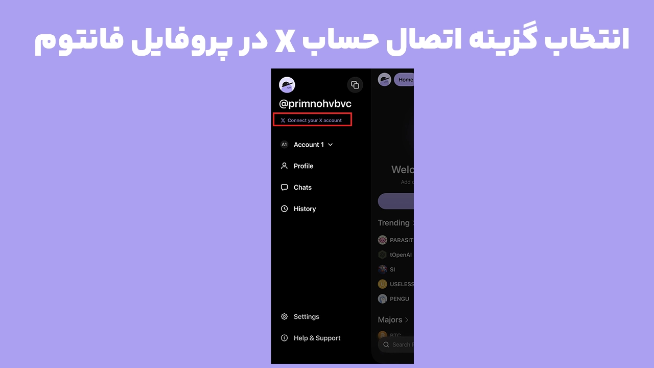 گزینه Connect your X account در پروفایل Phantom برای اتصال حساب X به کیف پول