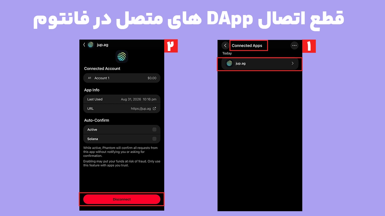 قطع اتصال DApp از بخش Connected Apps هنگام آموزش Revoke در فانتوم