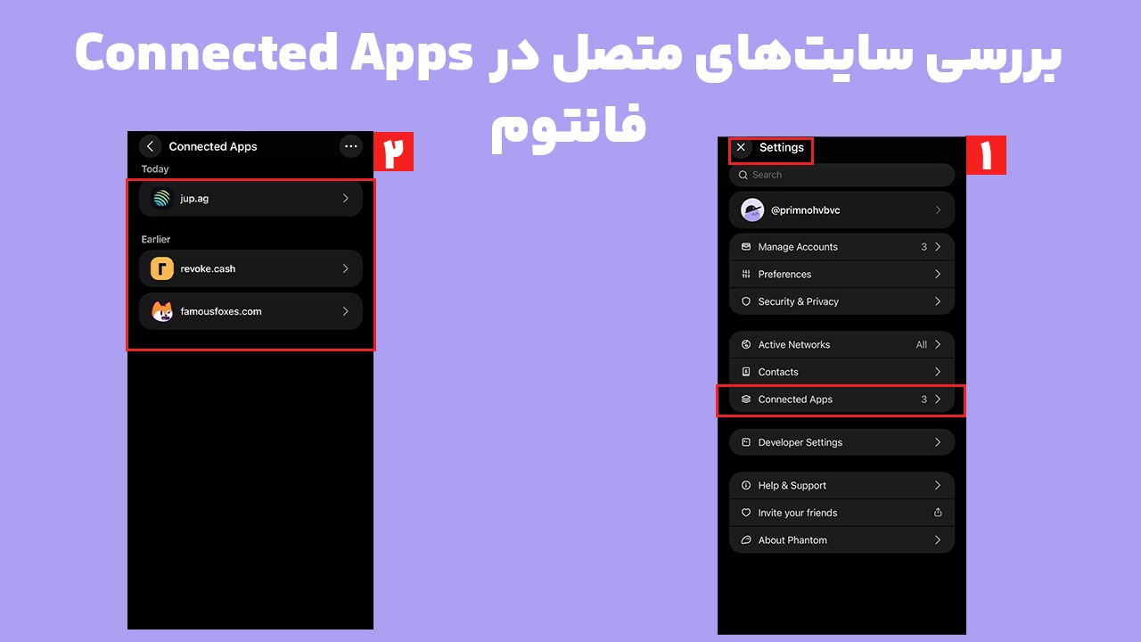 بررسی Connected Apps فانتوم برای شناسایی سایتهای متصل پس از هشدار New Domain