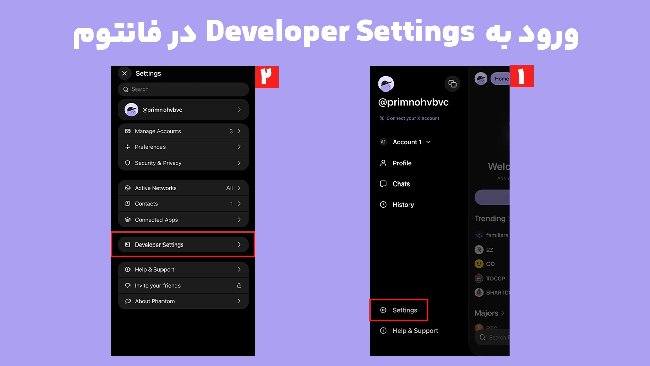 مسیر ورود به Developer Settings فانتوم برای فعال کردن Testnet در موبایل
