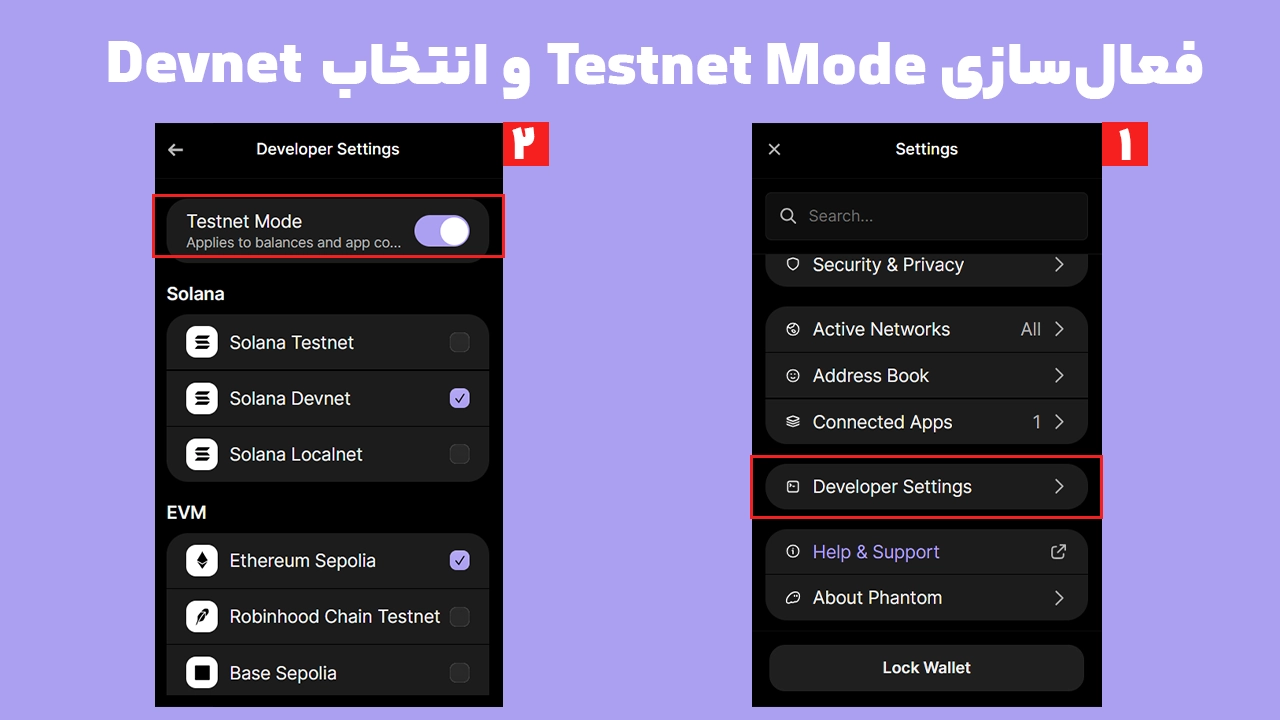 تنظیمات Developer Settings افزونه فانتوم برای Testnet و Auto-Confirm localhost