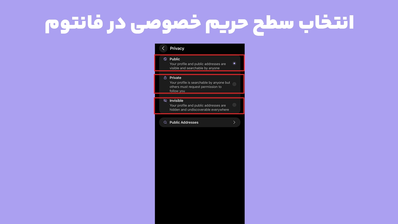 تنظیمات حریم خصوصی فانتوم و مقایسه حالتهای Public، Private و Invisible