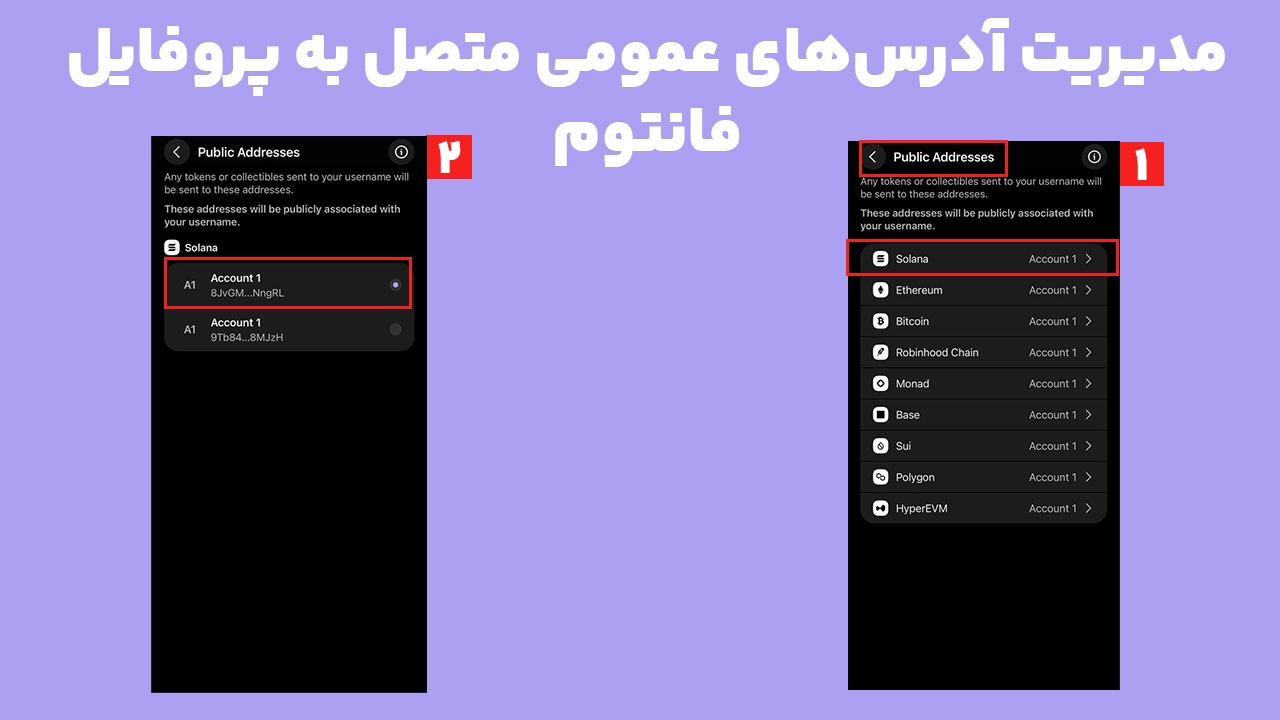 مدیریت Public Addresses و انتخاب آدرس متصل به پروفایل فانتوم