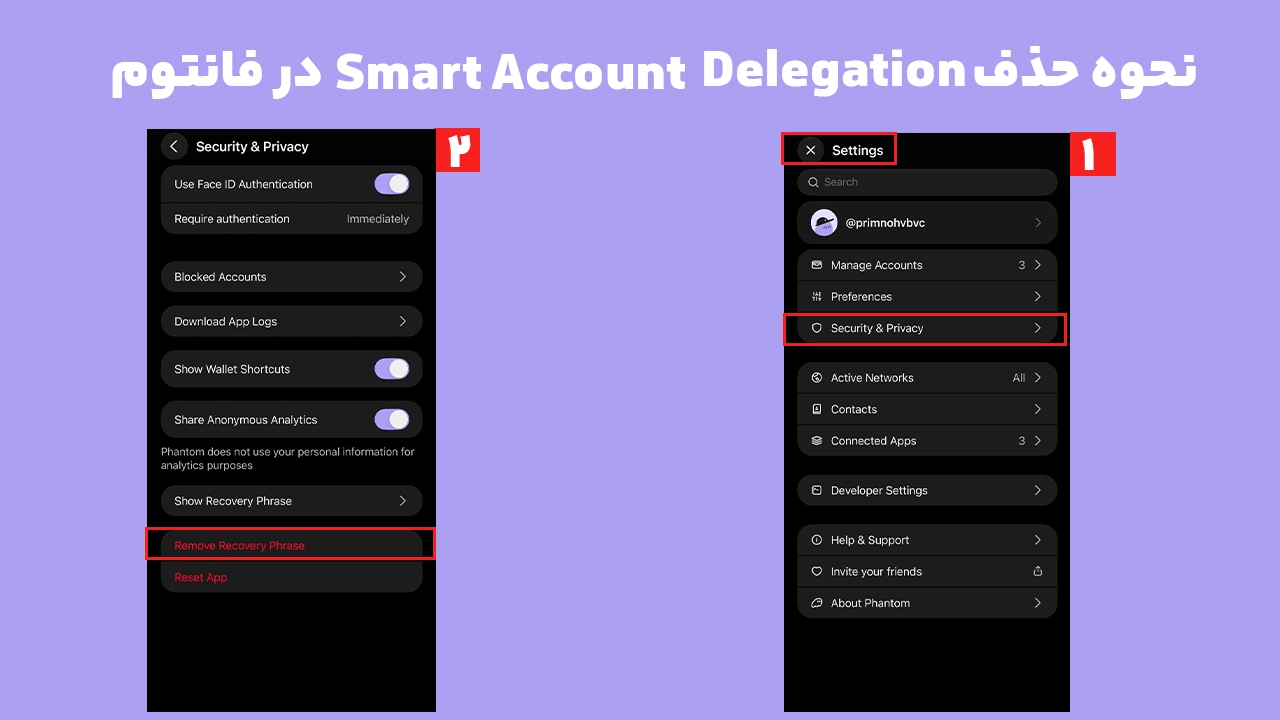 آموزش حذف Smart Account Delegation و غیرفعال کردن Gasless در فانتوم