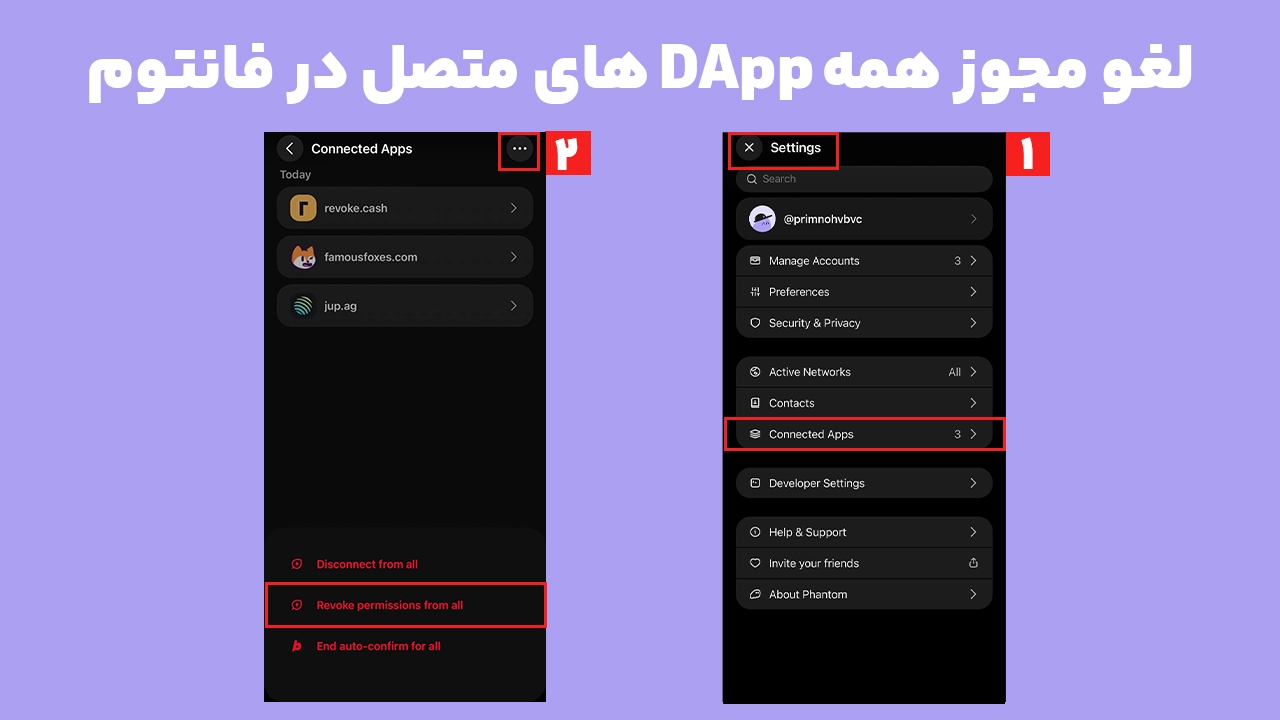 گزینه Revoke permissions for all برای لغو مجوز DAppها در کیف پول فانتوم