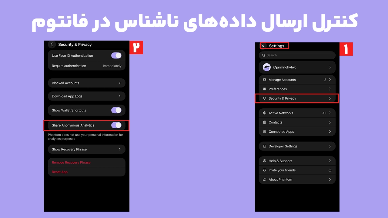 تنظیم Share Anonymous Analytics در بخش Security and Privacy فانتوم