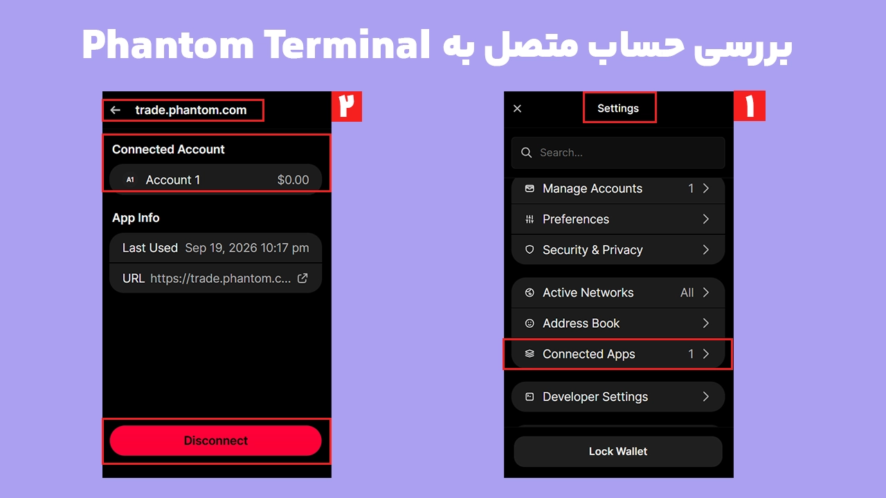 بررسی اتصال Phantom Terminal در Connected Apps و شناسایی حساب متصل به trade.phantom.com