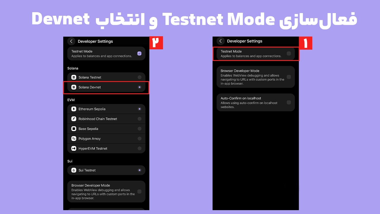 فعال کردن Testnet فانتوم و انتخاب Solana Devnet از Developer Settings