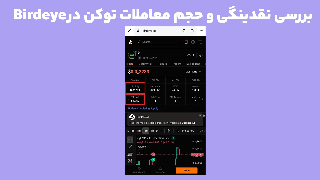 بررسی نقدینگی و حجم معاملات برای مشکل قیمت توکن فانتوم در Birdeye
