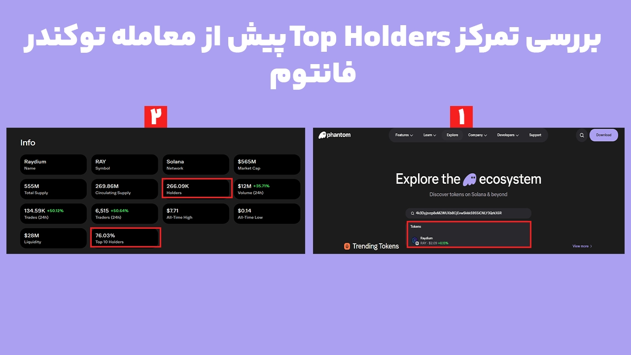 بررسی Top Holders و تمرکز هولدرها در Token Security Signals فانتوم