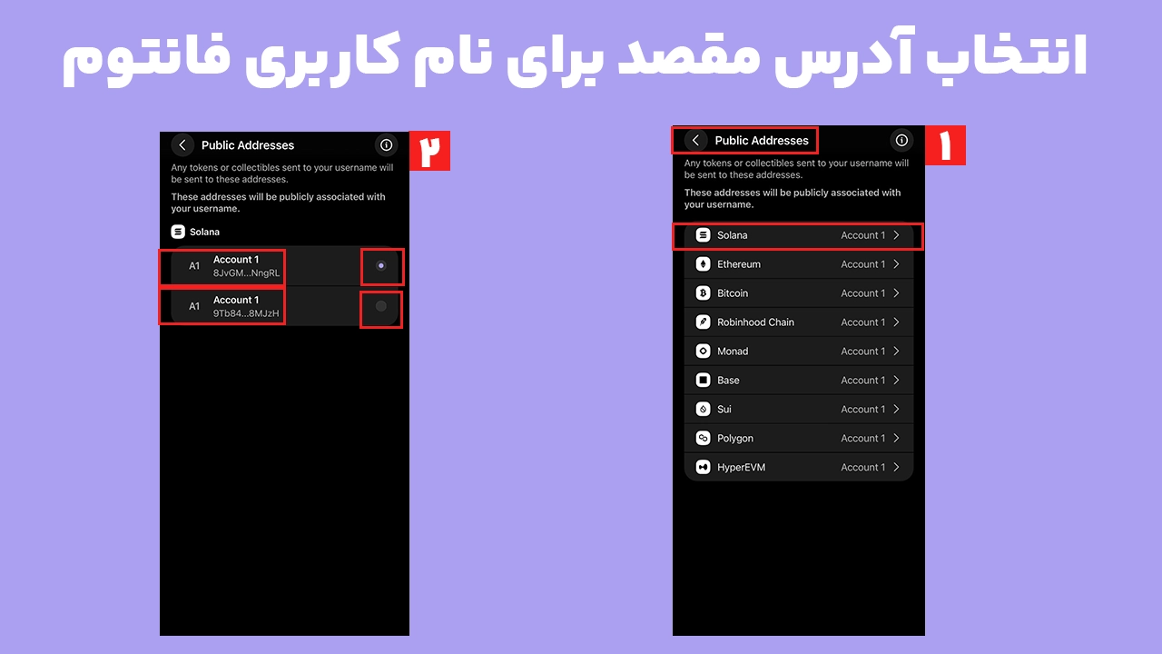 مدیریت آدرسهای متصل به نام کاربری فانتوم در بخش Public Addresses
