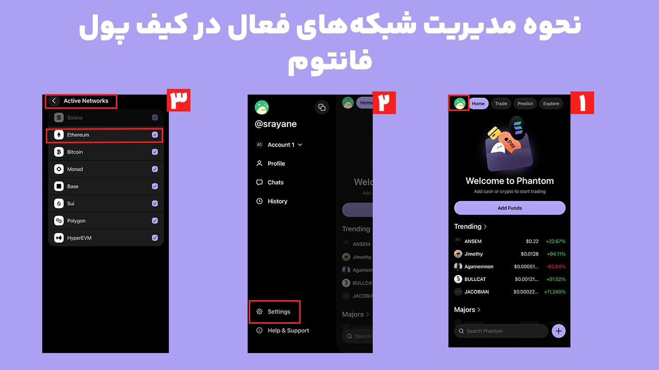 مشاهده و مدیریت شبکه‌های فعال کیف پول فانتوم در بخش تنظیمات اپلیکیشن
