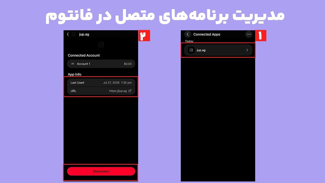 مشاهده برنامه‌های متصل و قطع دسترسی DAppها در کیف پول فانتوم