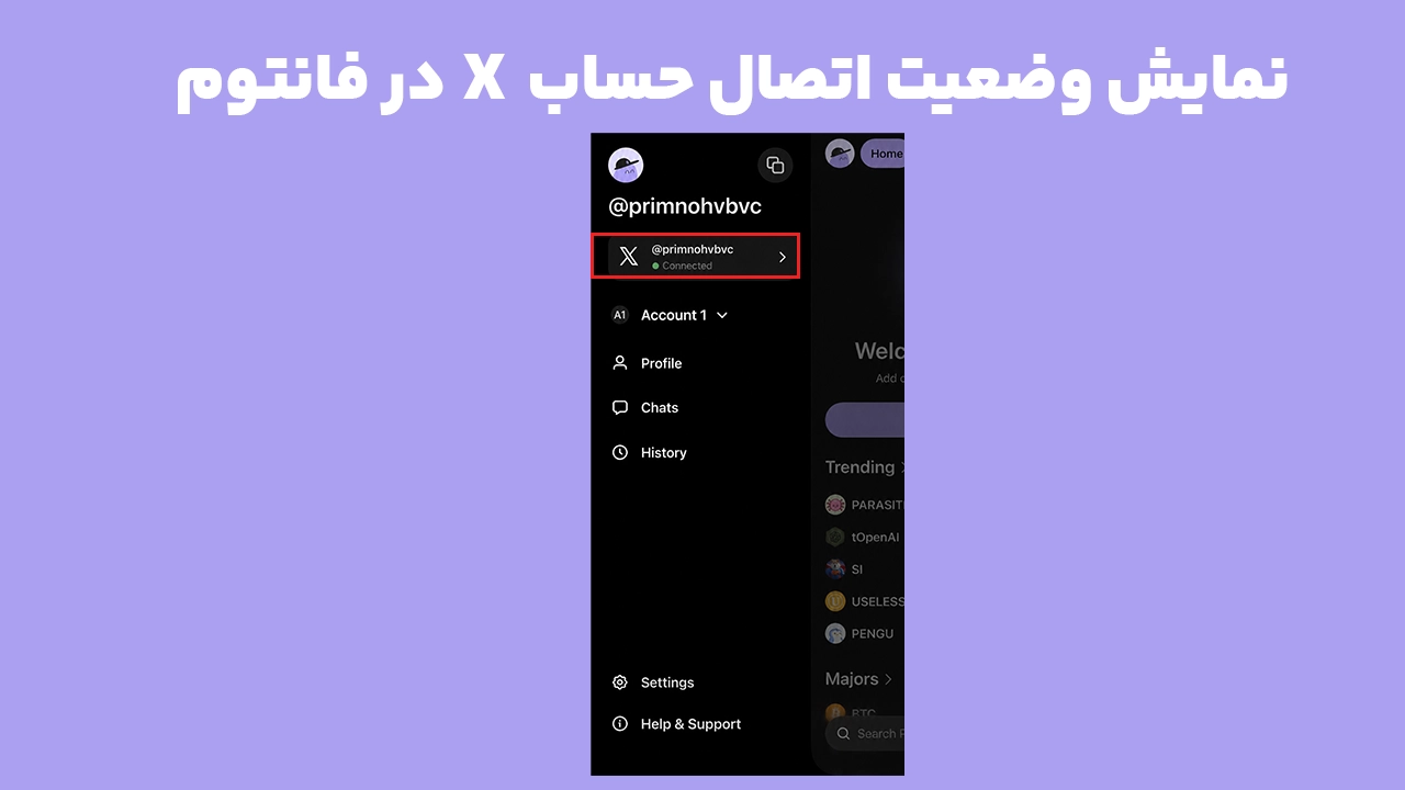 نمایش حساب X متصل شده در پروفایل Phantom Wallet پس از اتصال شبکه اجتماعی