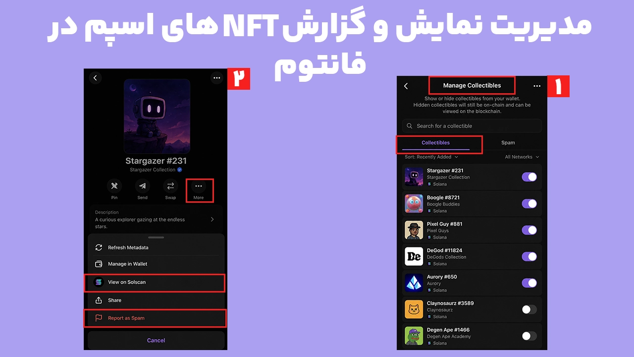 مخفیکردن، بازیابی نمایش و گزارش NFT اسپم در کیف پول فانتوم