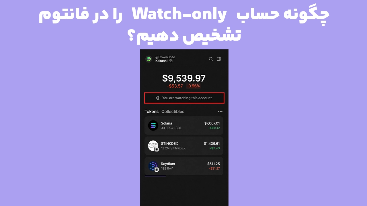 تشخیص حساب Watch-only فانتوم با آیکون چشم و پیام مشاهده حساب