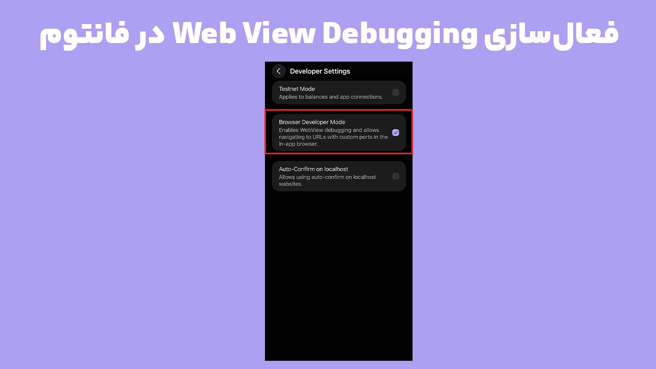 فعال کردن Web View Debugging فانتوم از بخش Developer Settings در موبایل