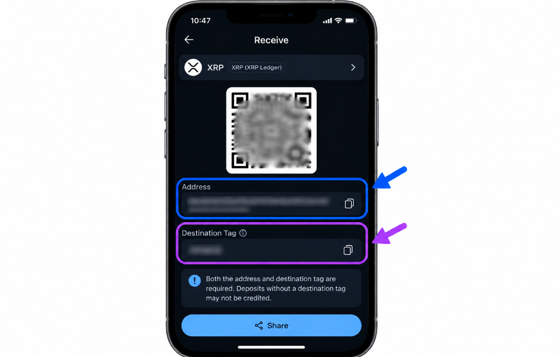 بررسی Address و Memo در SafePal هنگام دریافت ارز