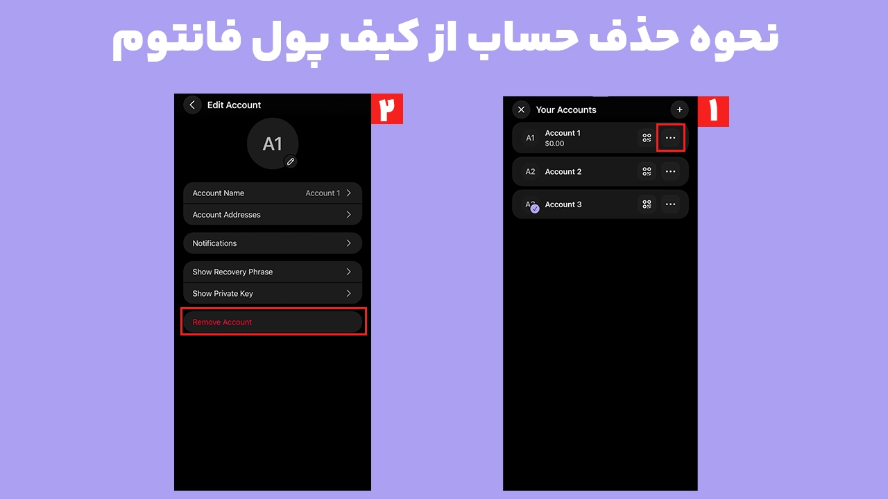 حذف حساب فانتوم با گزینه Remove Account و تأیید حذف اکانت