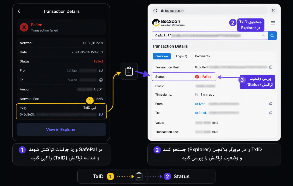 بررسی تراکنش ناموفق و ارورهای سیف پل با شناسه TxID در مرورگر بلاکچین
