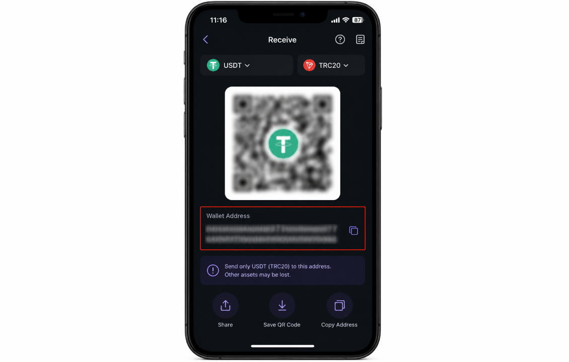 بررسی آدرس کیف پول بعد از رفع فراموشی رمز سیف پل