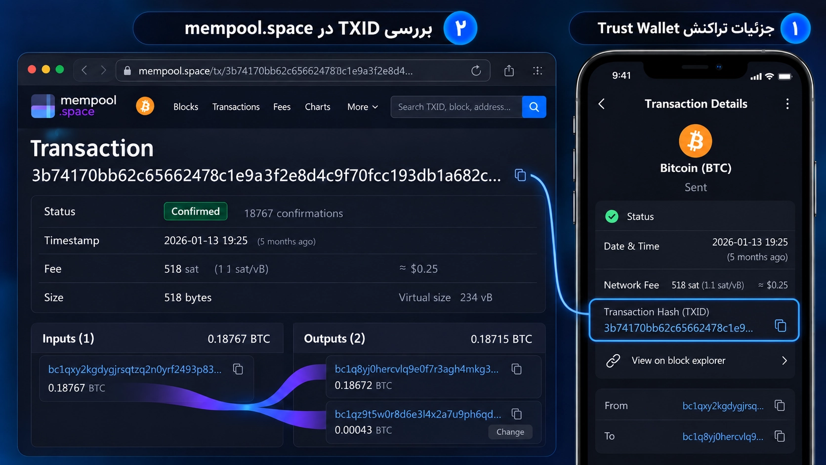 بررسی TXID، کارمزد، ورودی و خروجی تراکنش بیت کوین در mempool.space