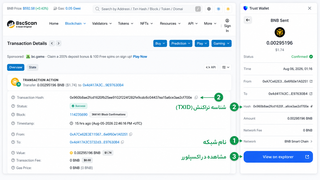 پشتیبانی تراست والت؛ راه‌های ارتباط رسمی و تشخیص پشتیبان جعلی، یافتن TXID و شبکه تراکنش در تراست والت برای ارسال به پشتیبانی.